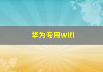 华为专用wifi