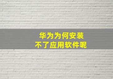 华为为何安装不了应用软件呢