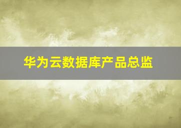 华为云数据库产品总监