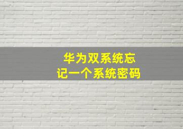 华为双系统忘记一个系统密码