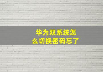 华为双系统怎么切换密码忘了