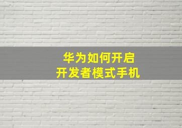 华为如何开启开发者模式手机