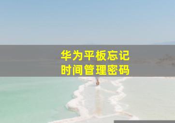 华为平板忘记时间管理密码