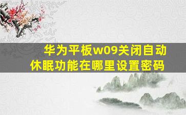 华为平板w09关闭自动休眠功能在哪里设置密码