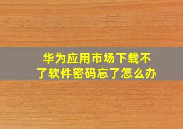 华为应用市场下载不了软件密码忘了怎么办