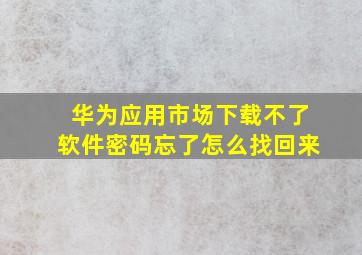 华为应用市场下载不了软件密码忘了怎么找回来