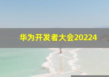 华为开发者大会20224