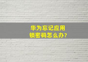 华为忘记应用锁密码怎么办?