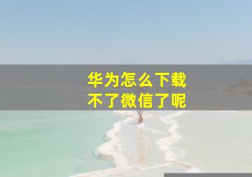 华为怎么下载不了微信了呢