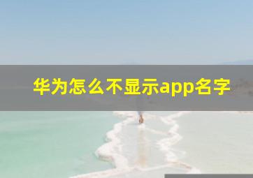 华为怎么不显示app名字