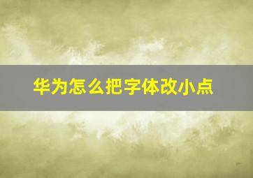 华为怎么把字体改小点