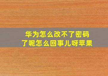 华为怎么改不了密码了呢怎么回事儿呀苹果