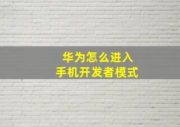 华为怎么进入手机开发者模式