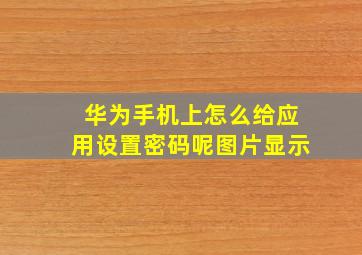 华为手机上怎么给应用设置密码呢图片显示