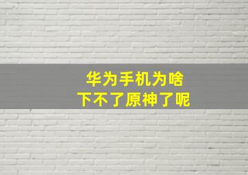 华为手机为啥下不了原神了呢