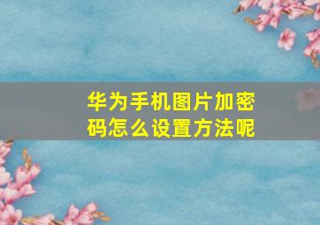 华为手机图片加密码怎么设置方法呢