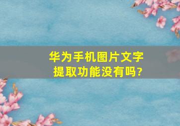 华为手机图片文字提取功能没有吗?