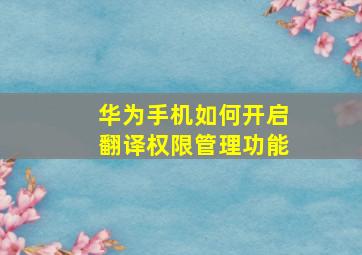 华为手机如何开启翻译权限管理功能