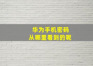 华为手机密码从哪里看到的呢