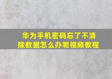 华为手机密码忘了不清除数据怎么办呢视频教程