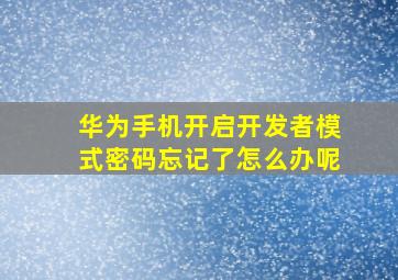 华为手机开启开发者模式密码忘记了怎么办呢