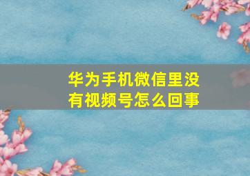 华为手机微信里没有视频号怎么回事