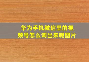 华为手机微信里的视频号怎么调出来呢图片