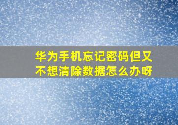 华为手机忘记密码但又不想清除数据怎么办呀