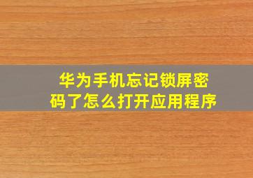 华为手机忘记锁屏密码了怎么打开应用程序