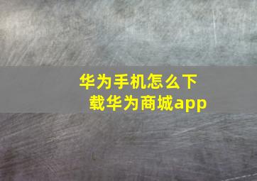 华为手机怎么下载华为商城app