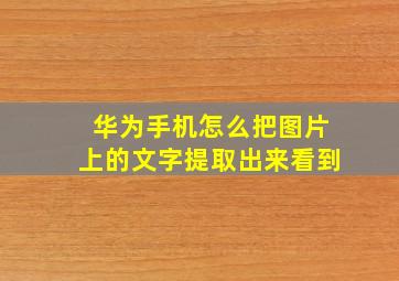 华为手机怎么把图片上的文字提取出来看到