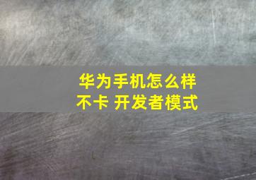 华为手机怎么样不卡 开发者模式