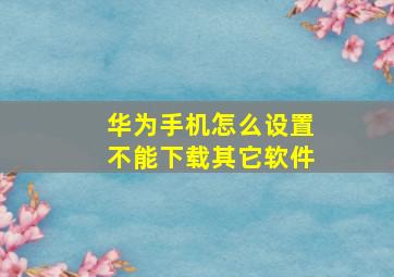 华为手机怎么设置不能下载其它软件