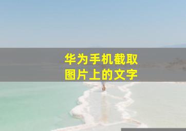 华为手机截取图片上的文字