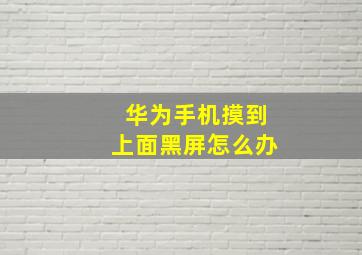 华为手机摸到上面黑屏怎么办