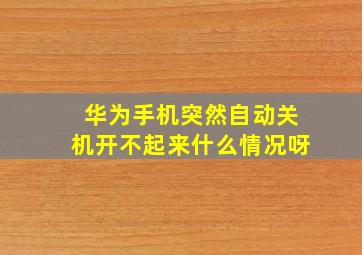 华为手机突然自动关机开不起来什么情况呀