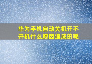 华为手机自动关机开不开机什么原因造成的呢