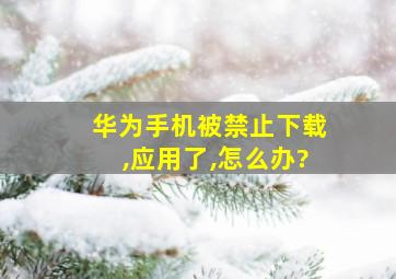 华为手机被禁止下载,应用了,怎么办?