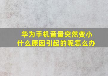 华为手机音量突然变小什么原因引起的呢怎么办