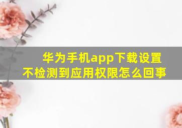 华为手机app下载设置不检测到应用权限怎么回事