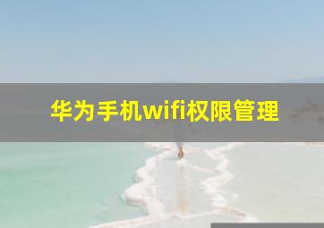 华为手机wifi权限管理