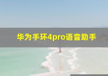 华为手环4pro语音助手