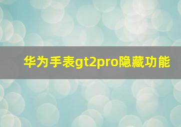 华为手表gt2pro隐藏功能