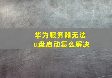 华为服务器无法u盘启动怎么解决