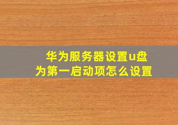 华为服务器设置u盘为第一启动项怎么设置