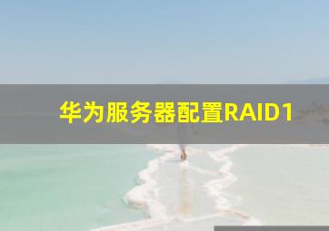 华为服务器配置RAID1