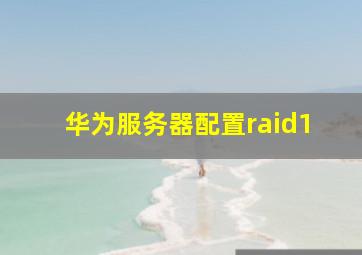 华为服务器配置raid1