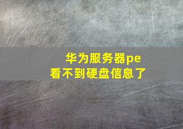 华为服务器pe看不到硬盘信息了