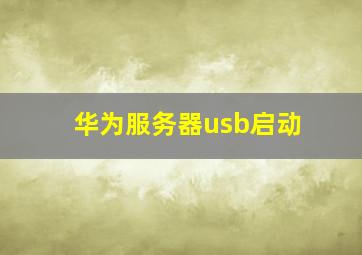 华为服务器usb启动