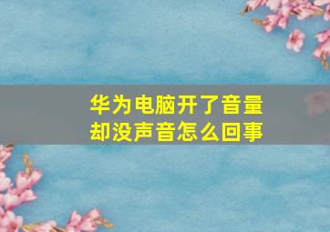 华为电脑开了音量却没声音怎么回事